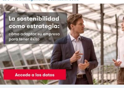 La sostenibilidad como estrategia: cómo adaptar su empresa para tener éxito